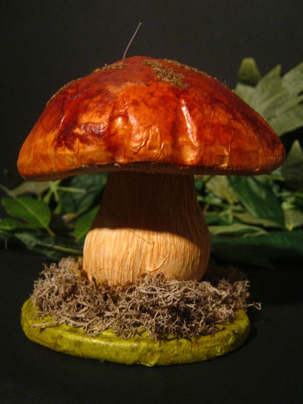 Pixie Aki sul Fungo nel Bosco delle Fragole